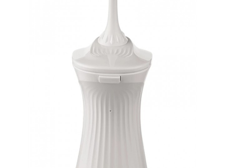 Портативный ирригатор Revyline RL 220