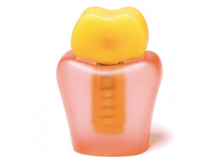 Демонстрационная модель Demo Implant