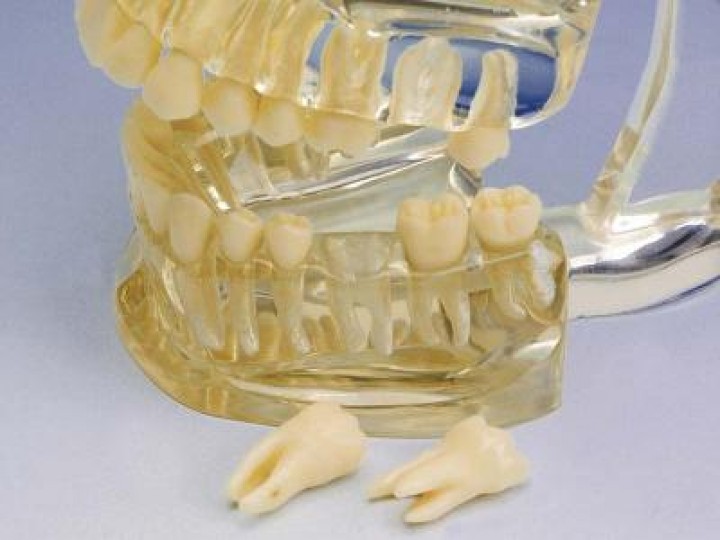 Демонстрационная модель, прозрачная