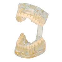 Демонстрационная модель, прозрачная