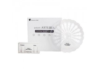 Шкала для составления индивидуальных оттенков Estelite Asteria Custom Shade Guide