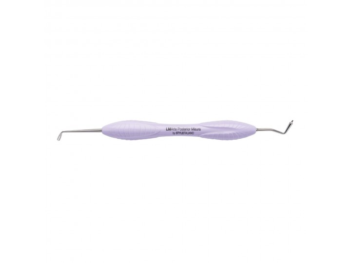 Гладилка Posterior Misura LM 498-499