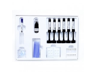 DENSETSI D200 Mix Kit набор 6 шпр. с бондом