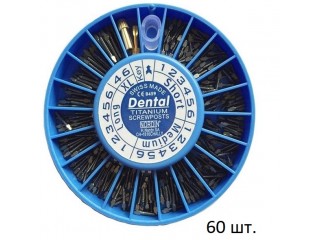 Штифты титановые ассорти, набор 60 шт.