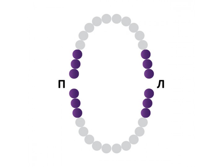 Кламп № 51 Medenta