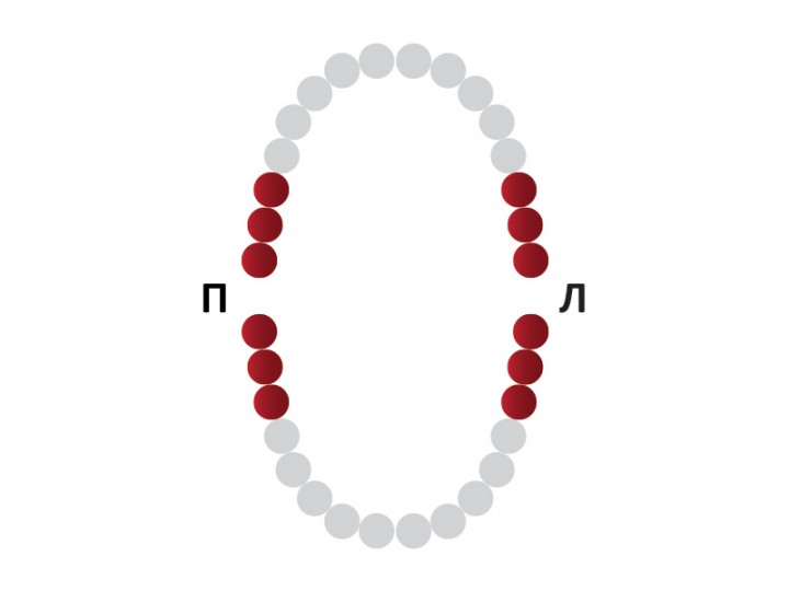 Кламп № 14Т Medenta