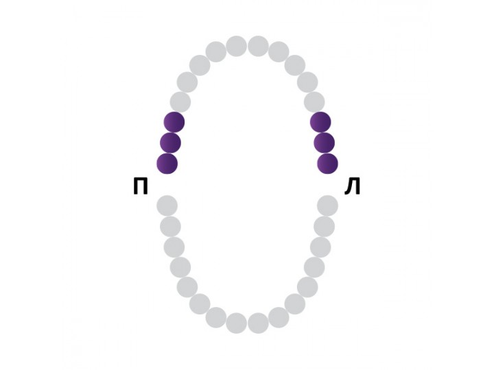 Кламп № 8 Medenta
