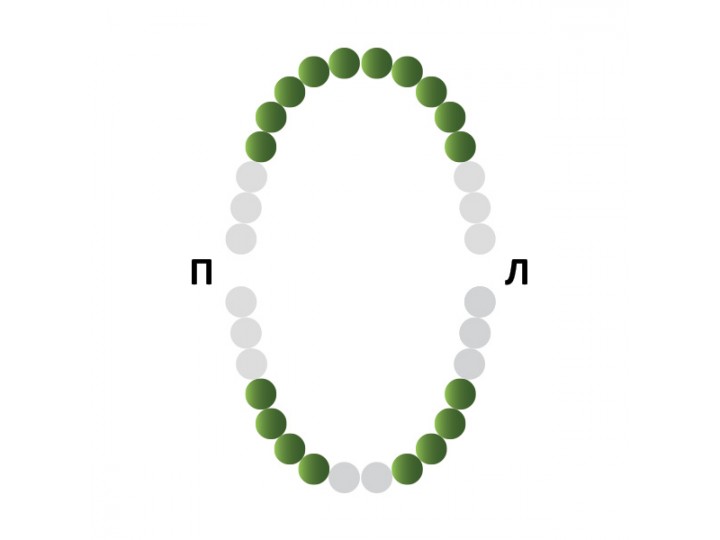 Кламп № 210 Medenta