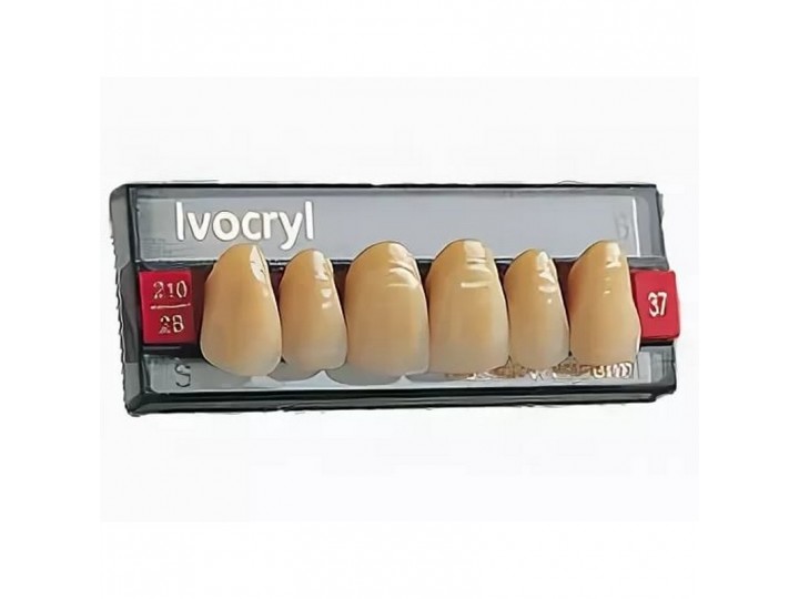 Набор из 6 зубов Chromascop фронт.верх. 37