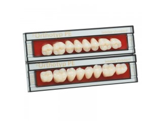 Набор из 8 зубов Chromascop жеват.верх. N4