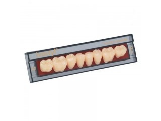 Набор из 8 зубов Chromascop жеват. низ. 32