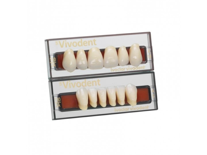 Набор из 6 зубов Chromascop фронт. низ. 57