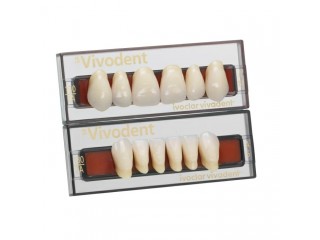 Набор из 6 зубов Chromascop фронт.верх. 24