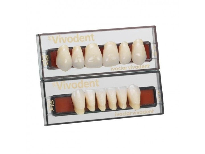 Набор из 6 зубов Chromascop фронт.верх. 31