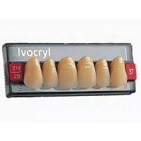 Набор из 6 зубов Chromascop фронт.верх. 33