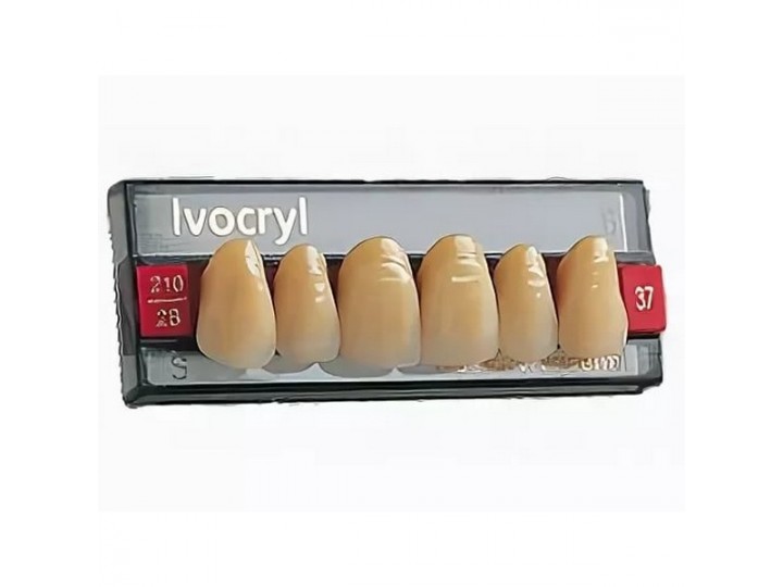 Набор из 6 зубов Chromascop фронт.верх. 33