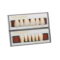 Набор из 6 зубов Chromascop фронт. низ. 56