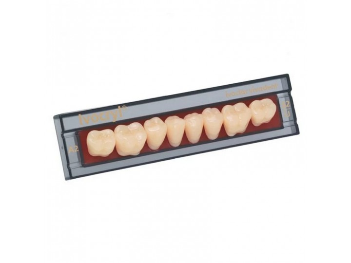 Набор из 8 зубов A-D жеват.низ. 32