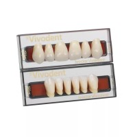 Набор из 6 зубов A-D фронт.верх. 10