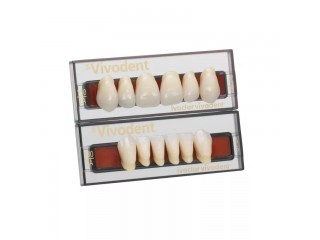 Набор из 6 зубов A-D фронт.верх. 10