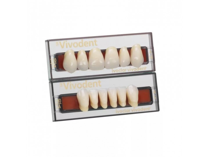 Набор из 6 зубов A-D фронт.верх. 10