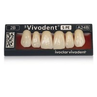 Набор из 6 зубов Chromascop фронт.верх. A16