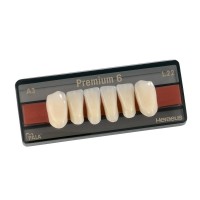 Зубы Premium 6 цвет фасон L12 низ