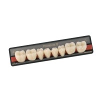 Зубы Premium 8 фасон LL низ