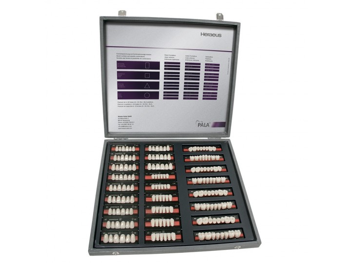 Зубы Premium 6 фасон S2 верх