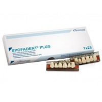 Полный гарнитур зубов Spofadent Plus 1/23-0/7-1/60
