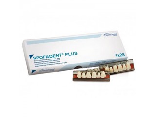 Полный гарнитур зубов Spofadent Plus 1/23-0/7-1/60