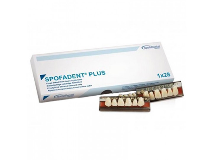 Полный гарнитур зубов Spofadent Plus 1/23-0/7-1/60