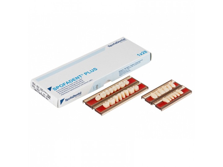 Полный гарнитур зубов Spofadent Plus 1/48-0/6-1/72
