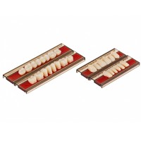 Полный гарнитур зубов Spofadent Plus 1/48-0/6-1/72