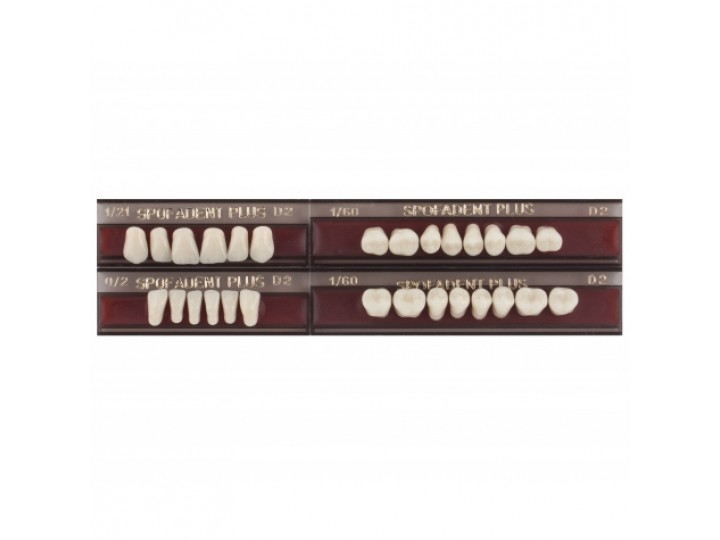 Полный гарнитур зубов Spofadent Plus 1/37-0/5-1/62