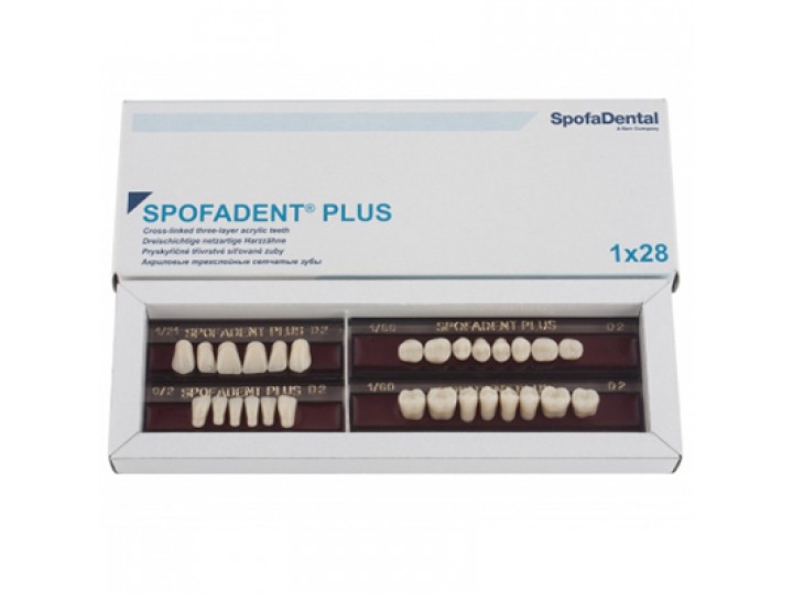 Полный гарнитур зубов Spofadent Plus 62-0/11-1/62 Полный гарнитур зубов Spofadent Plus 62-0/11-1/62