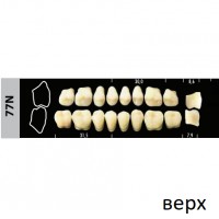Зубы Super Lux 77N жевательный верх, 8 шт.