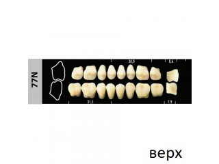Зубы Super Lux 77N жевательный верх, 8 шт.