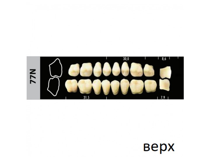 Зубы Super Lux 77N жевательный верх, 8 шт.