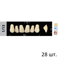 Зубы Super Lux 1/13 полный гарнитур, 28 шт.
