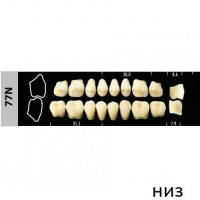 Зубы Super Lux 77N жевательный низ, 8 шт.