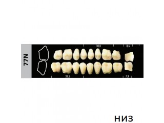 Зубы Super Lux 77N жевательный низ, 8 шт.