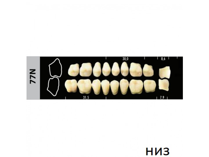 Зубы Super Lux 77N жевательный низ, 8 шт.