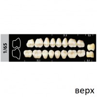 Зубы Super Lux 1/65 жевательный верх, 8 шт.