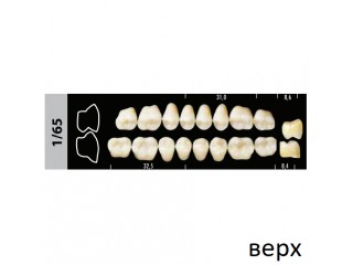 Зубы Super Lux 1/65 жевательный верх, 8 шт.