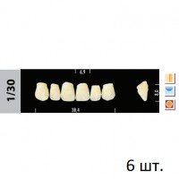Зубы Super Lux 1/30 фронтальный верх, 6 шт.