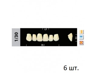 Зубы Super Lux 1/30 фронтальный верх, 6 шт.