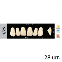 Зубы Super Lux 1/25 полный гарнитур, 28 шт.