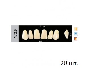 Зубы Super Lux 1/25 полный гарнитур, 28 шт.