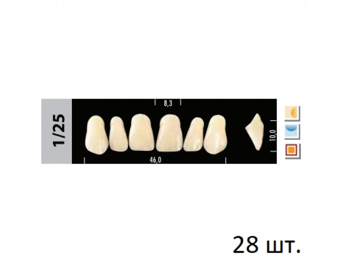 Зубы Super Lux 1/25 полный гарнитур, 28 шт.